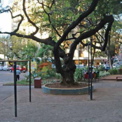 Montador de Móveis no Bairro Gutierrez_ montagem rápida, eficiente e com preço justo